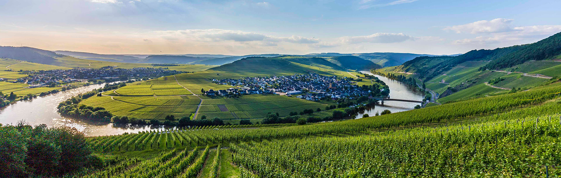 Moselschleife mit Weinbergen in der Region Trier